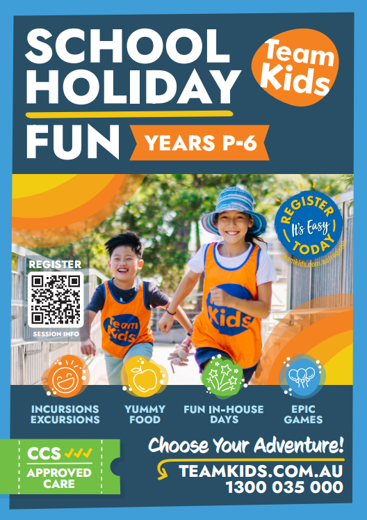 BAV P-6 Flyers - VIC and QLD only - Bundle of 50